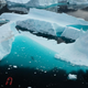 Aerial view of iceberg-filled habitat in Sermilik Fiord, eastern Greenland, near where specimens of Liparis gibbus were collected. The authors can be seen underwater in center of image